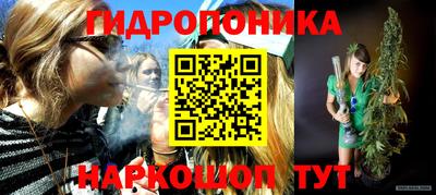 скорость Бийск