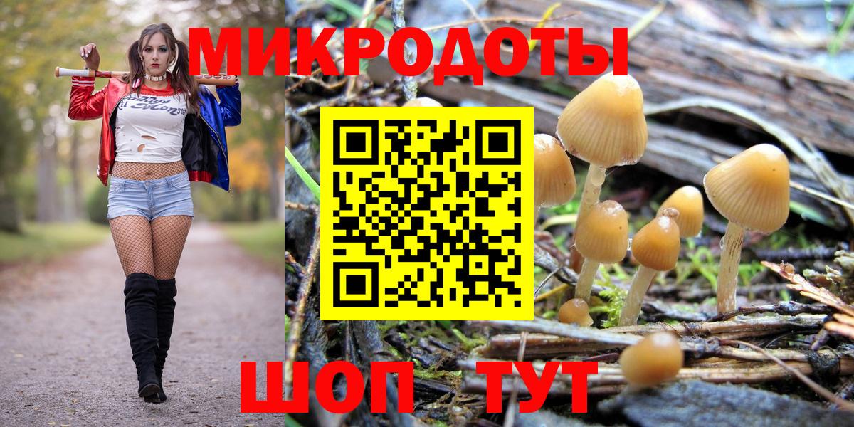 Галлюциногенные грибы Psilocybine cubensis  Вход с VPN  Калач-на-Дону  Псилоцибиновые грибы мицелий 